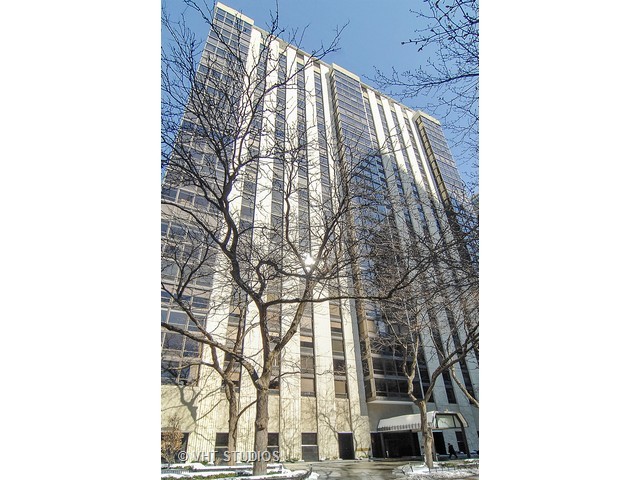 100 E Bellevue Pl #29E, Chicago, IL 60611 photo 1