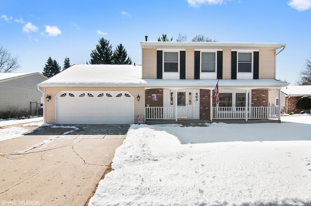 463 Fall Cir, Roselle, IL 60172 photo 16