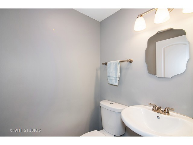 463 Fall Cir, Roselle, IL 60172 photo 13