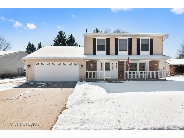463 Fall Cir, Roselle, IL 60172 photo 1