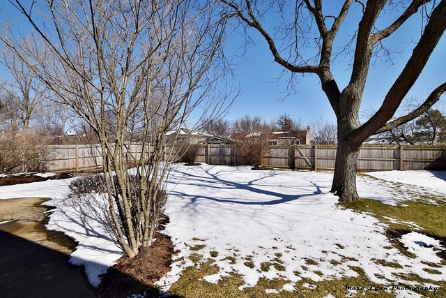 4205 Crimson Dr, Hoffman Estates, IL 60195 photo 23