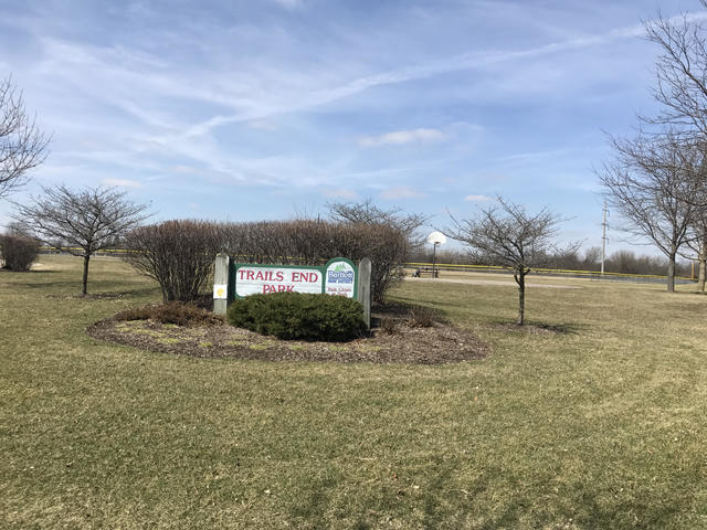 977 Longford Rd, Bartlett, IL 60103 photo 14