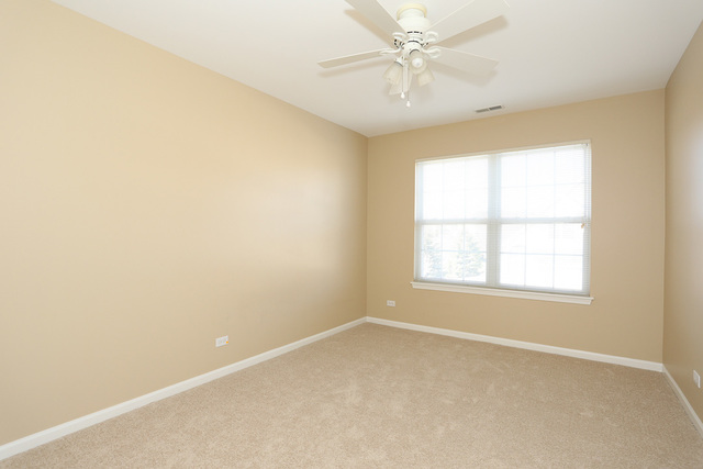 1227 Tamarack Dr, Bartlett, IL 60103 photo 22