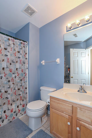 1227 Tamarack Dr, Bartlett, IL 60103 photo 23