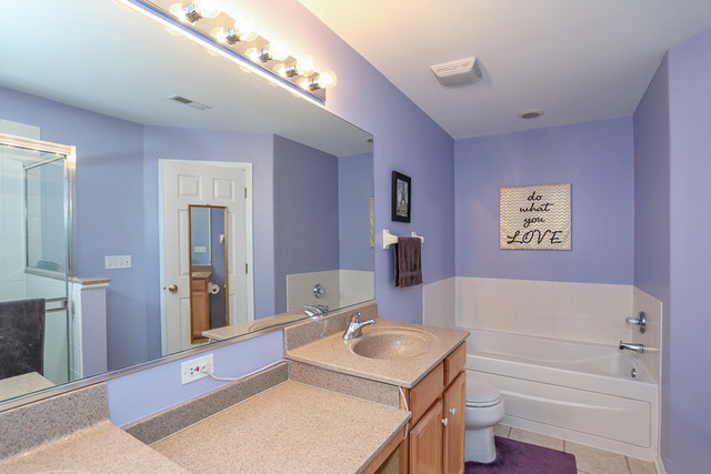 1227 Tamarack Dr, Bartlett, IL 60103 photo 17