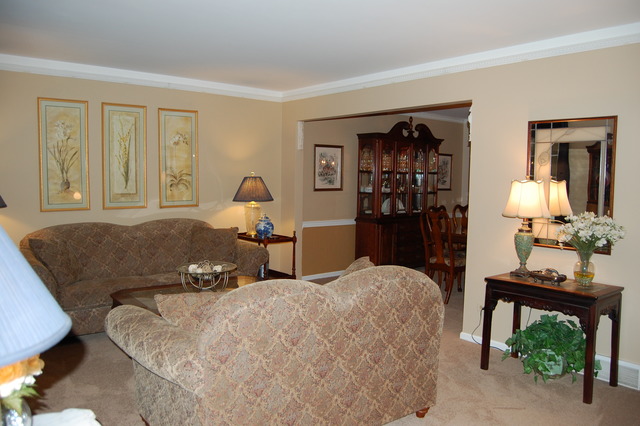212 E Bauer Rd, Naperville, IL 60563 photo 19