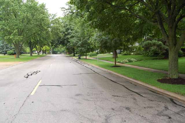 212 E Bauer Rd, Naperville, IL 60563 photo 22