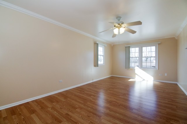 235 Mayer Ave, Wheeling, IL 60090 photo 9