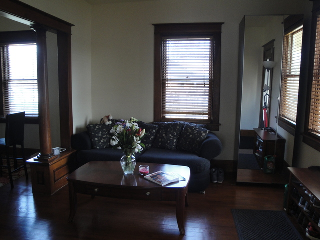 21 E Logan St, Lemont, IL 60439 photo 6
