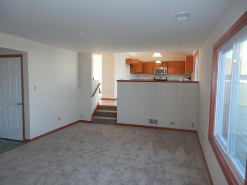 6909 Bitterroot Dr, Plainfield, IL 60586 photo 11