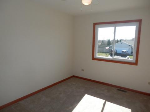 6909 Bitterroot Dr, Plainfield, IL 60586 photo 7