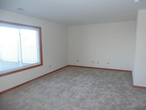 6909 Bitterroot Dr, Plainfield, IL 60586 photo 12