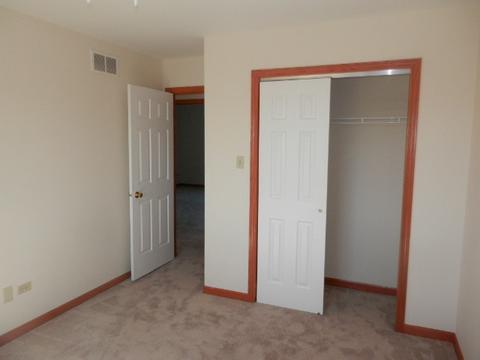 6909 Bitterroot Dr, Plainfield, IL 60586 photo 8