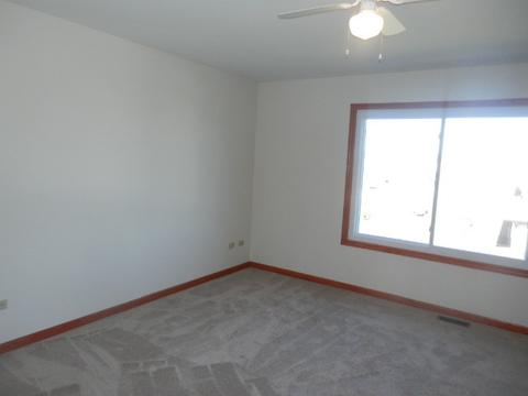 6909 Bitterroot Dr, Plainfield, IL 60586 photo 9