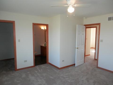 6909 Bitterroot Dr, Plainfield, IL 60586 photo 10