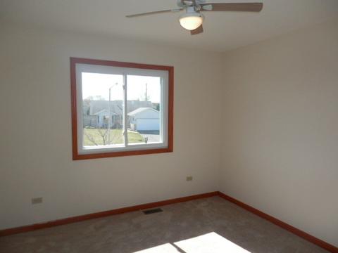 6909 Bitterroot Dr, Plainfield, IL 60586 photo 5