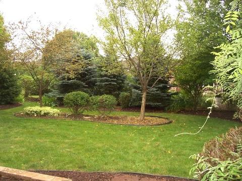 1212 Heritage Dr, Morris, IL 60450 photo 8