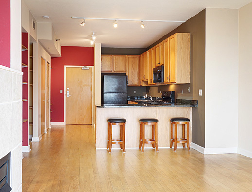 5 E 14th Pl #1702, Chicago, IL 60605 photo 4