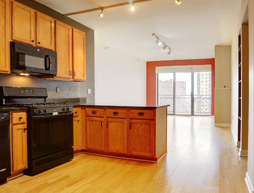5 E 14th Pl #1702, Chicago, IL 60605 photo 2