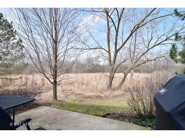 1068 Horizon Dr #C, Bartlett, IL 60103 photo 10