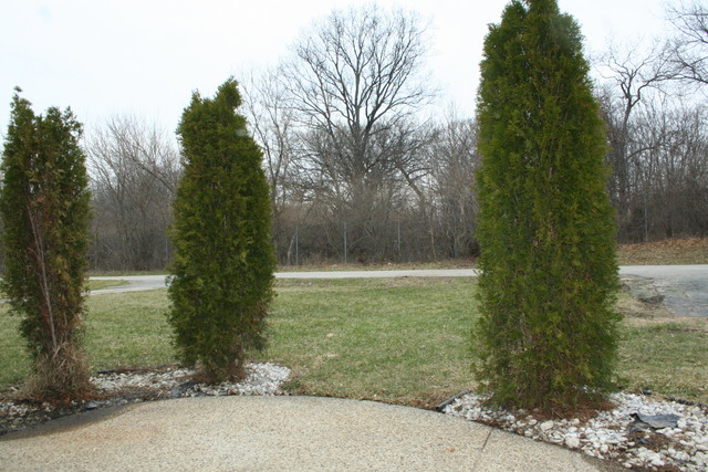 605 Amanda Ave, Mchenry, IL 60050 photo 21