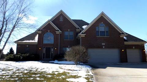 13014 Silverleaf Ct, Plainfield, IL 60585 photo 1