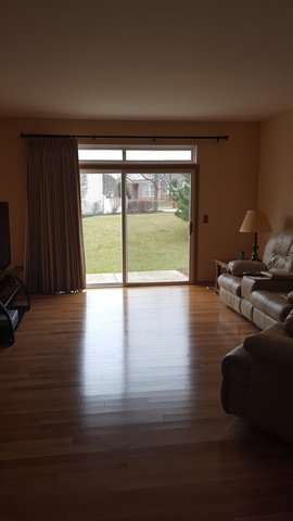21038 W Braxton Ln, Plainfield, IL 60544 photo 9