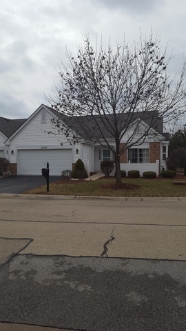 21038 W Braxton Ln, Plainfield, IL 60544 photo 3