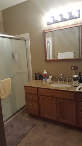 21038 W Braxton Ln, Plainfield, IL 60544 photo 13