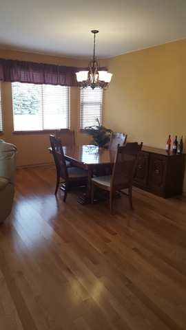 21038 W Braxton Ln, Plainfield, IL 60544 photo 8