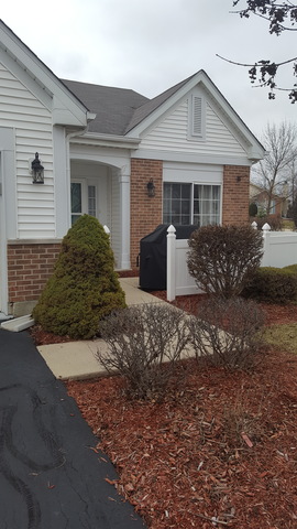 21038 W Braxton Ln, Plainfield, IL 60544 photo 2