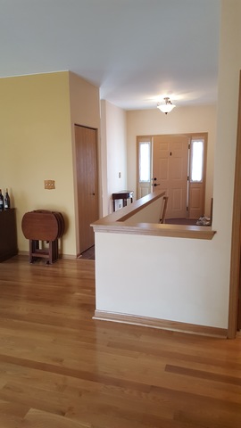 21038 W Braxton Ln, Plainfield, IL 60544 photo 7