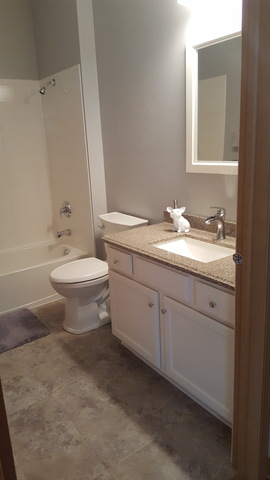 21038 W Braxton Ln, Plainfield, IL 60544 photo 11
