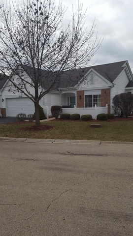 21038 W Braxton Ln, Plainfield, IL 60544 photo 1