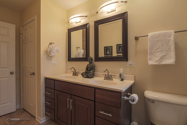 280 Royce Ln, Roselle, IL 60172 photo 13