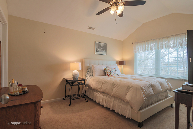 280 Royce Ln, Roselle, IL 60172 photo 17