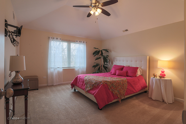 280 Royce Ln, Roselle, IL 60172 photo 19