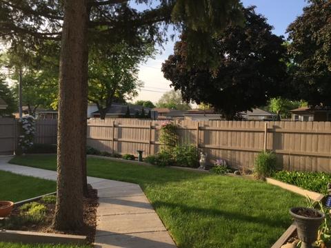 14459 Kolin Ave, Midlothian, IL 60445 photo 13