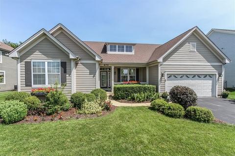 473 E Amberside Dr, Elgin, IL 60124 photo 1