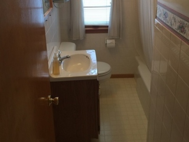 808 S Spring Rd, Elmhurst, IL 60126 photo 8