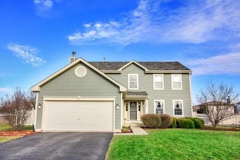 1306 Creekside Cir, Minooka, IL 60447 photo 1