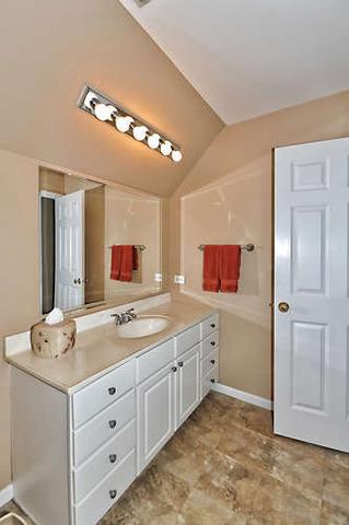 355 Lela Ln, Bartlett, IL 60103 photo 18