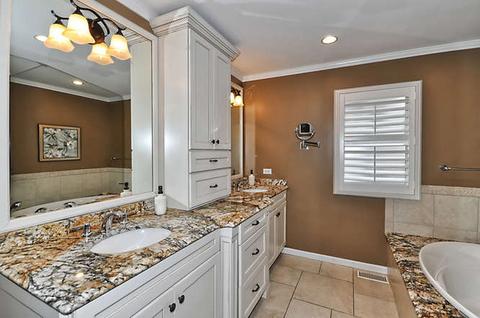 355 Lela Ln, Bartlett, IL 60103 photo 13