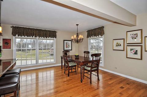 355 Lela Ln, Bartlett, IL 60103 photo 10