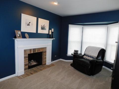 1125 Spring Hill Dr, Algonquin, IL 60102 photo 14