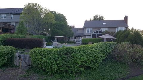 1125 Spring Hill Dr, Algonquin, IL 60102 photo 26
