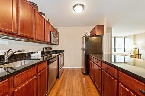 222 E Pearson St #2004, Chicago, IL 60611 photo 4