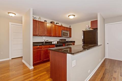222 E Pearson St #2004, Chicago, IL 60611 photo 3