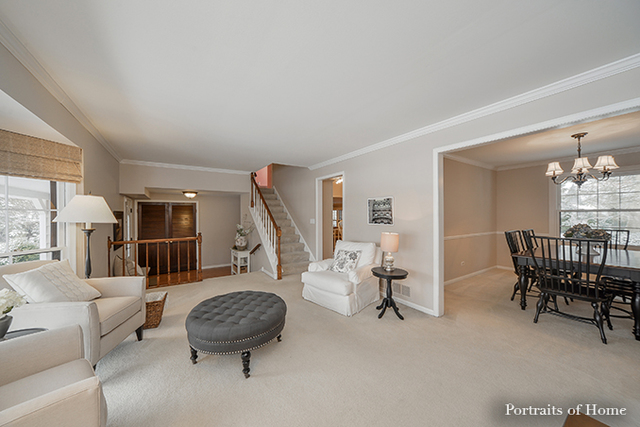 1508 Apache Dr, Naperville, IL 60563 photo 7