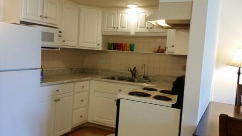 100 Deborah Ln #A33, Wheeling, IL 60090 photo 2
